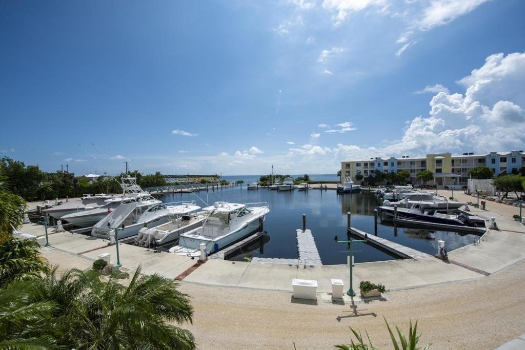 Licensed Mgr - Modern 3/3.5 Villa - Key Largo'S Most Upscale Oceanfront Resort! 외부 사진